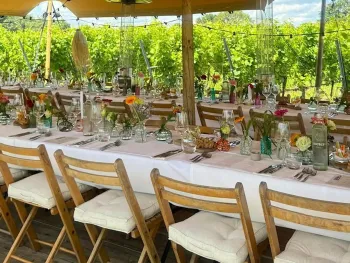 Culinaire ervaring Tussen de Wijnranken