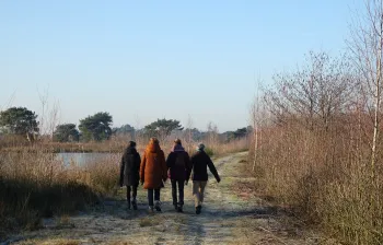 Eindejaarswandeling in Nationaal Park De Groote Peel