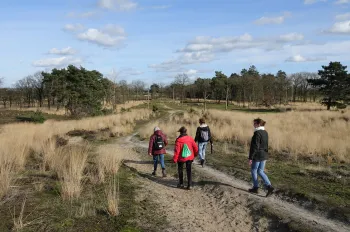 Stiltewandeling in Nationaal Park De Groote Peel