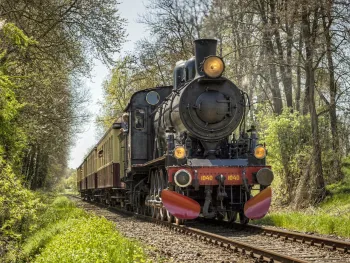 Zomeravond Expres 2025