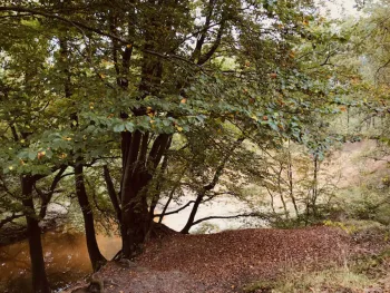 3-Stromenwandeling in Leudal