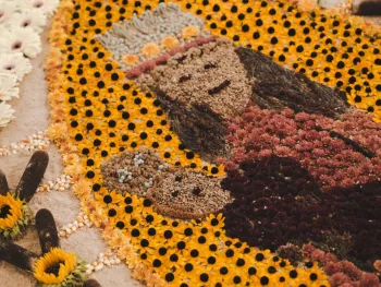 30 jaar Bloemtapijt Roermond