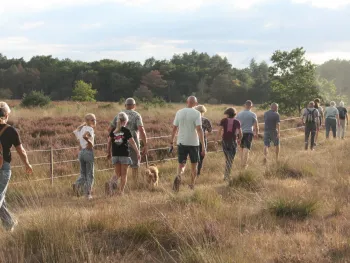 Avond4Daagse Altweerterheide 2026