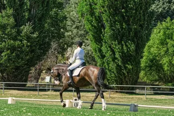 Cross clinic met Suzanne Bouten