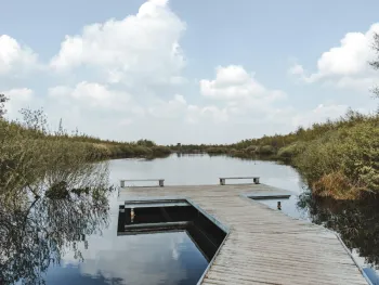 Trekvogels van De Pelen