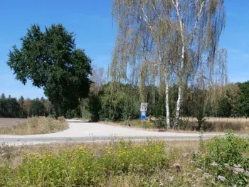 Herfstwandeling door stiltegebied Asbroekerheide