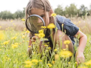 OERRR Lentepret bij de Hompesche Molen