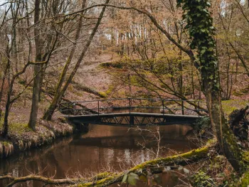 Wandeling: De verborgen kracht van water en wind