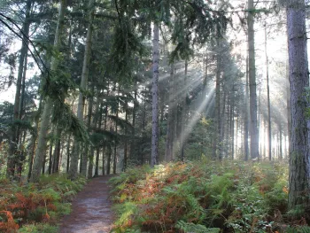 Natuurwerkdag voorjaar - Leudal