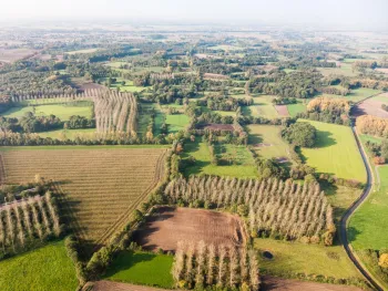 Wandeling: Ontdek de natuur van Neeritter