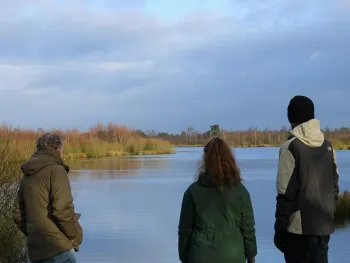 Stiltewandeling in Nationaal Park De Groote Peel