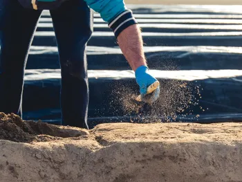Aspergedag bij Museumdorp De Locht