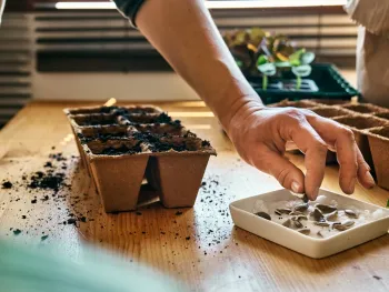 Workshop zaaien en stekken