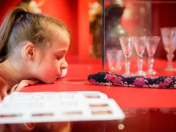 Knutselworkshop voor dierenvrienden in Museum W