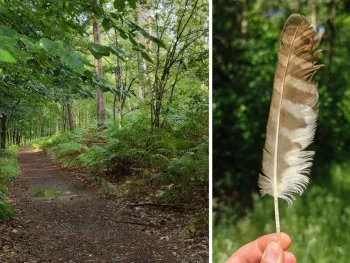 Een lange wandeltocht vol natuurbeleving, voor doorstappers