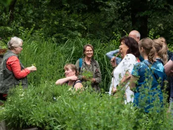 Kruidenwandeling in de Groote Peel