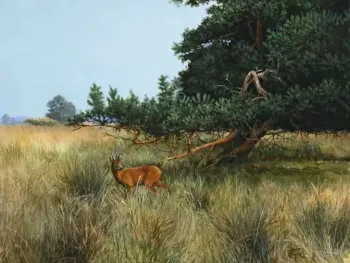 Kunstexpositie - Licht op de Peel