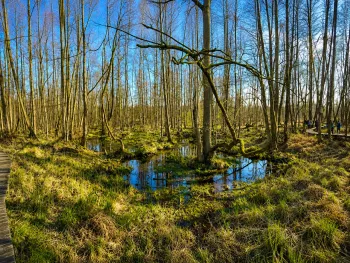 Excursie langs de Roode Beek