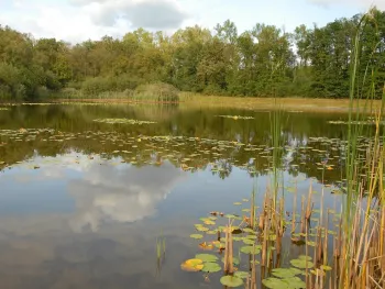 Excursie Sarsven en De Banen