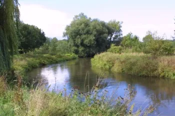 VVV wandeling Herkenbosch - Langs de Roer