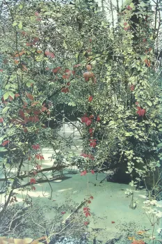 Feestmaanden Expositie 