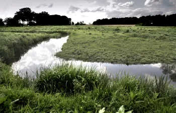 Excursie landgoed Exaten en Haelens Beekdal