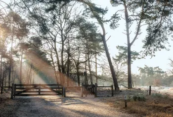 Natuuractiviteit voor schoolkinderen