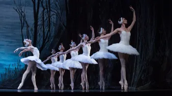 Het Zwanenmeer - Charkiv City Ballet