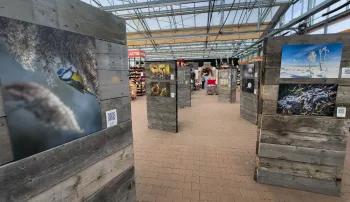 Foto-expositie "Stemmen van de natuur" van fotogroep Raak!