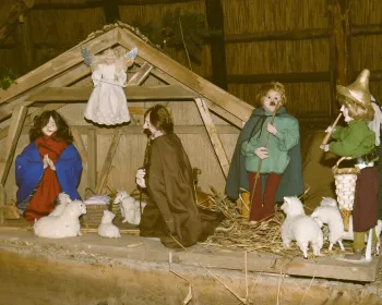 Kribkesroute De Locht