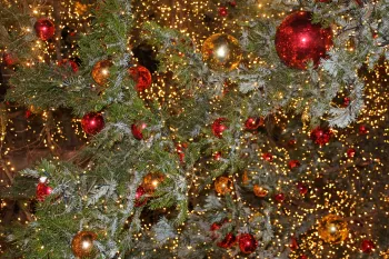 Christmas El(l)sewhere