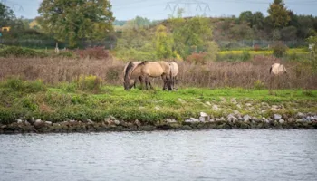 Maasvallei Route door het RivierPark