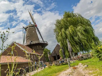 Nationale Molendag bij de Hompesche Molen