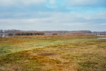 Natuurwandeling IVN Weert door De Banen