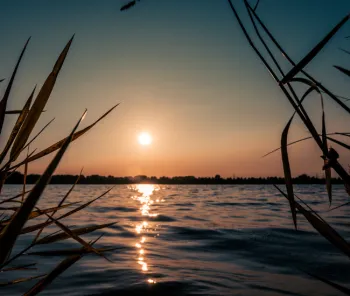 Sunset special Boschmolenplas