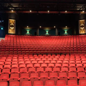 Cabaretvoorstelling Henry van Loon