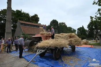 Oogstdag bij Eynderhoof: van graankorrel tot brood