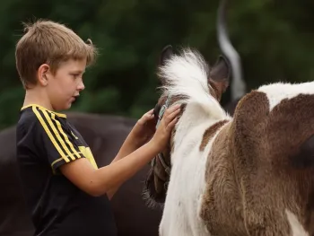Ponymiddag bij Rijstal Venhof