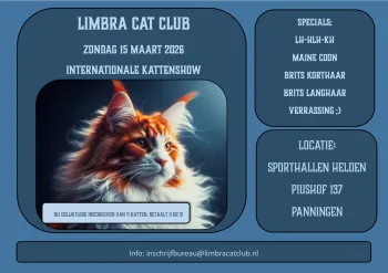 Internationale kattententoonstelling in Panningen