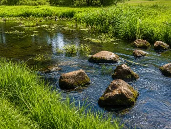 Stiltewandeling in het Leudal