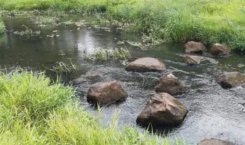 Stiltewandeling Leudal