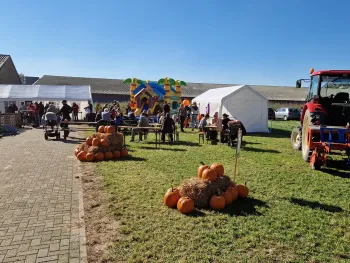Pompoen Plukdagen in Baexem