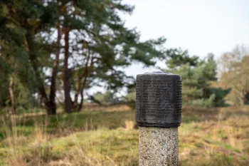 Wandeling Kempenbroek verkenners: Boshoverheide