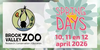 Brook Valley Zoo: Spring Days 2026