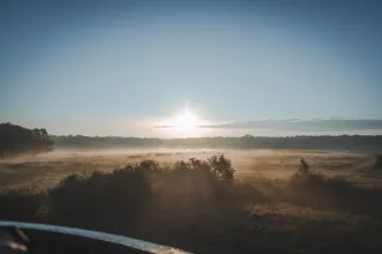 Landschapswandeling in Weerterbos