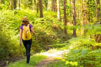 Lentewandeltocht Roerdal '87