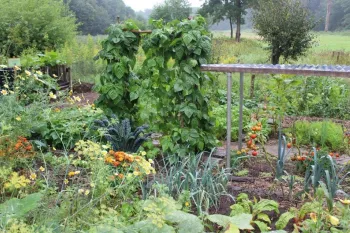 Opendag ECO Samentuin