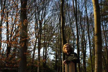 Pianist: Ben van Daal