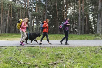 Wandel4daagse