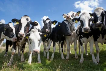 Open Boerderijdagen 2026 MTS Corstjens
